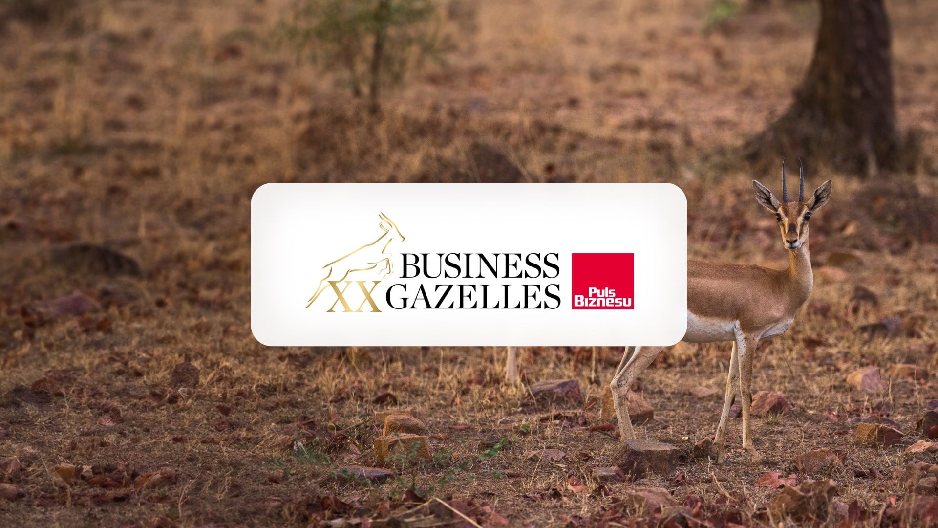 business_gaelle_2019